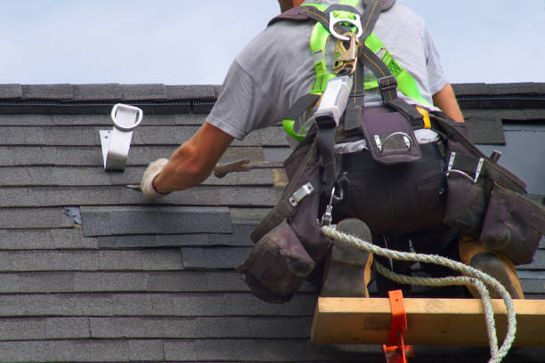 Best Sealant for Roof  in Dexter, MI