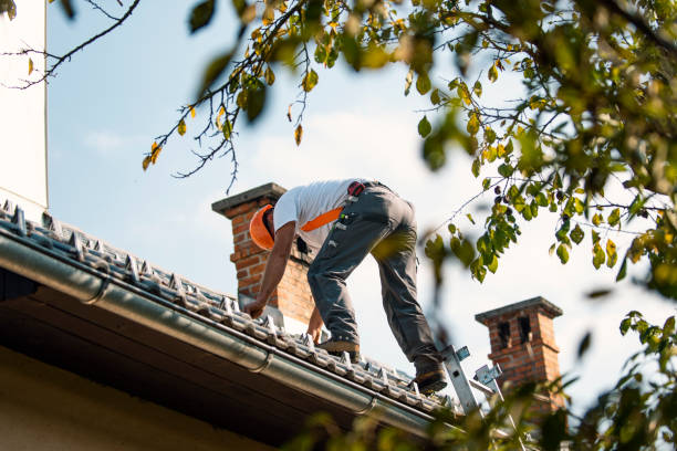 Best Best Roofing Contractors  in Dexter, MI