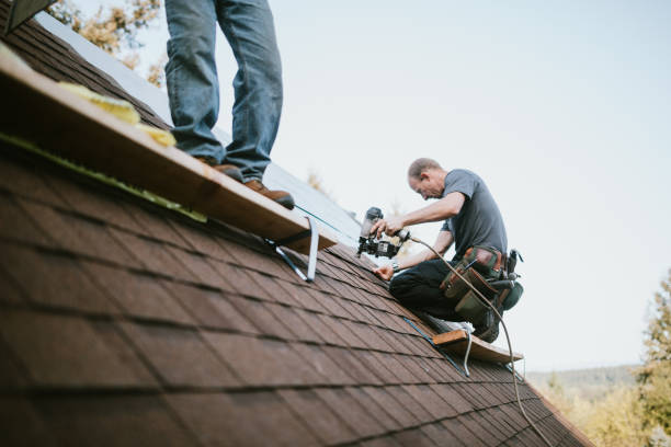 Best Commercial Roofing Services  in Dexter, MI