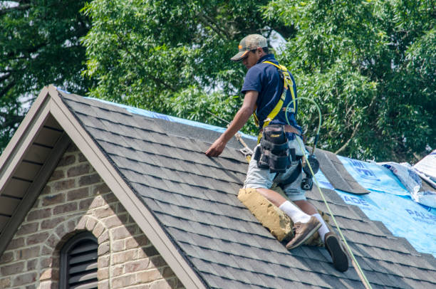 Best Roof Installation Near Me  in Dexter, MI
