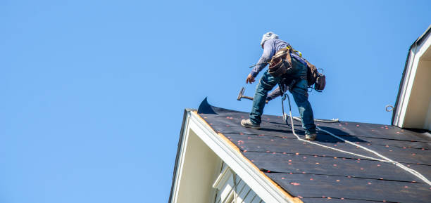Best Roof Maintenance Services  in Dexter, MI